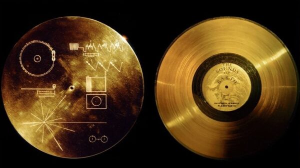 Read more about the article GOLDEN RECORD